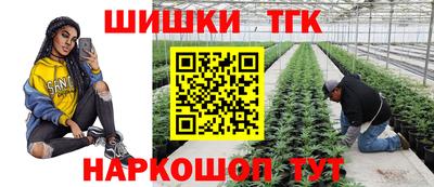 стаф Тара