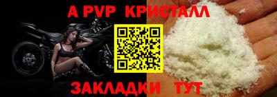 бошки Тверь