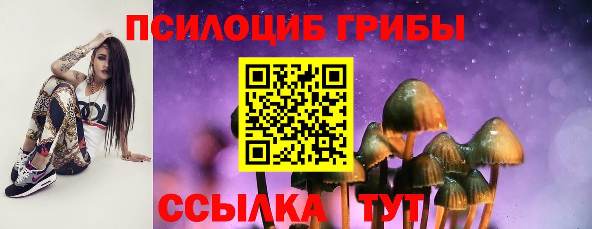 Нурлат  Галлюциногенные грибы мицелий  Вход с VPN  Псилоцибиновые грибы GOLDEN TEACHER 